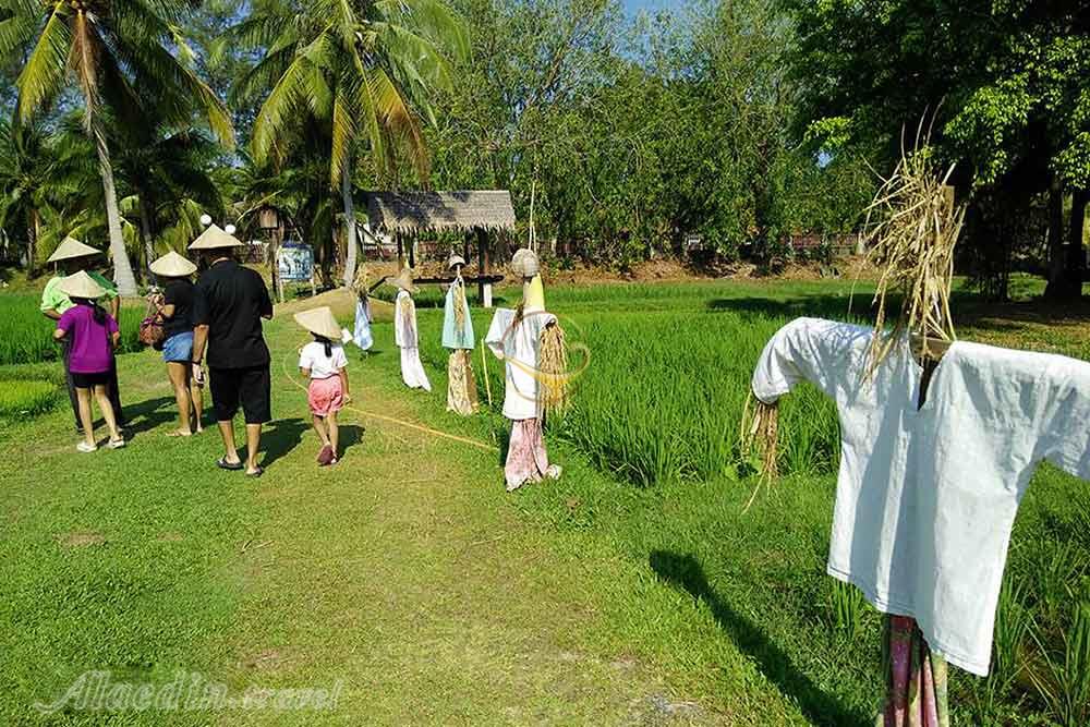 موزه برنج لامان پادی لنکاوی - مالزی | علاءالدین تراول