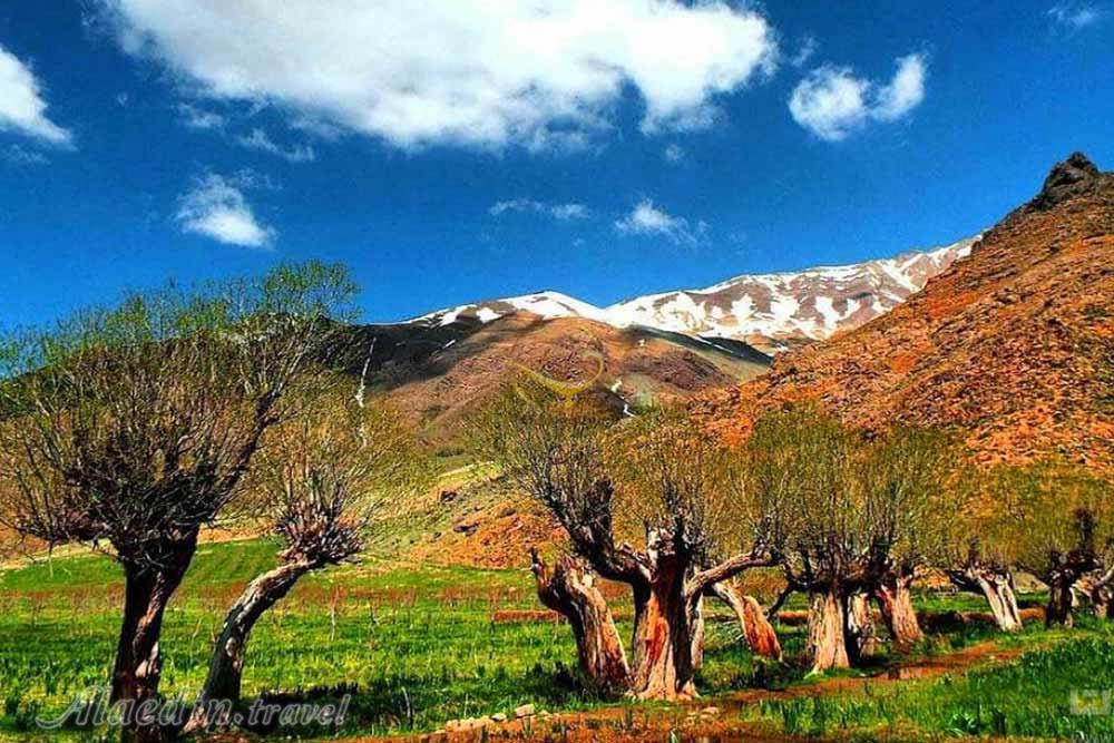 دشت هویج لواسان | علاءالدین تراول