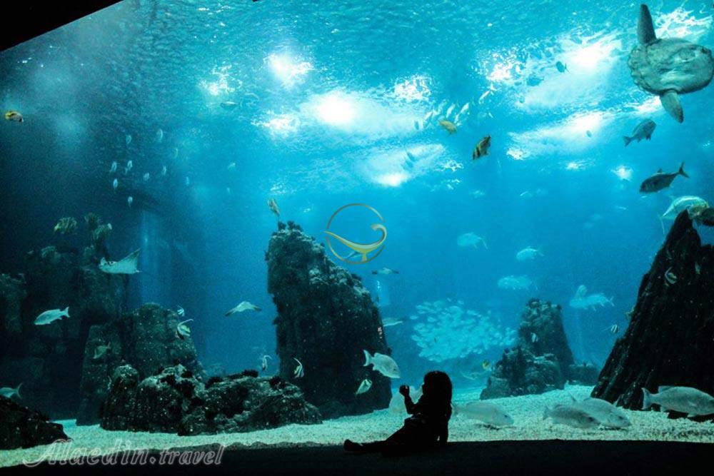 آکواریوم بزرگ لیسبون - پرتغال | علاءالدین تراول