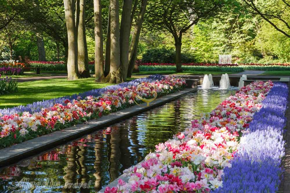 باغ گل کوکنهوف در لیسه هلند | علاءالدین تراول