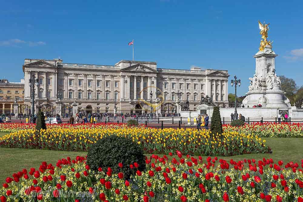 کاخ باکینگهام لندن | علاءالدین تراول