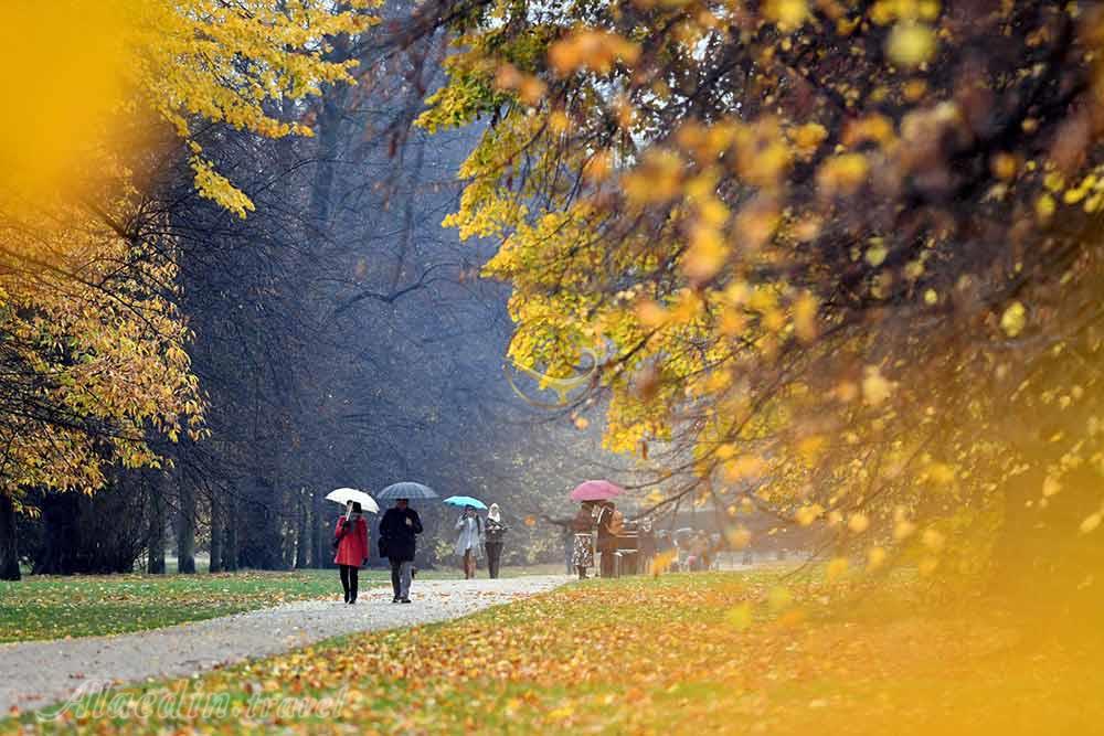 هاید پارک لندن | علاءالدین تراول