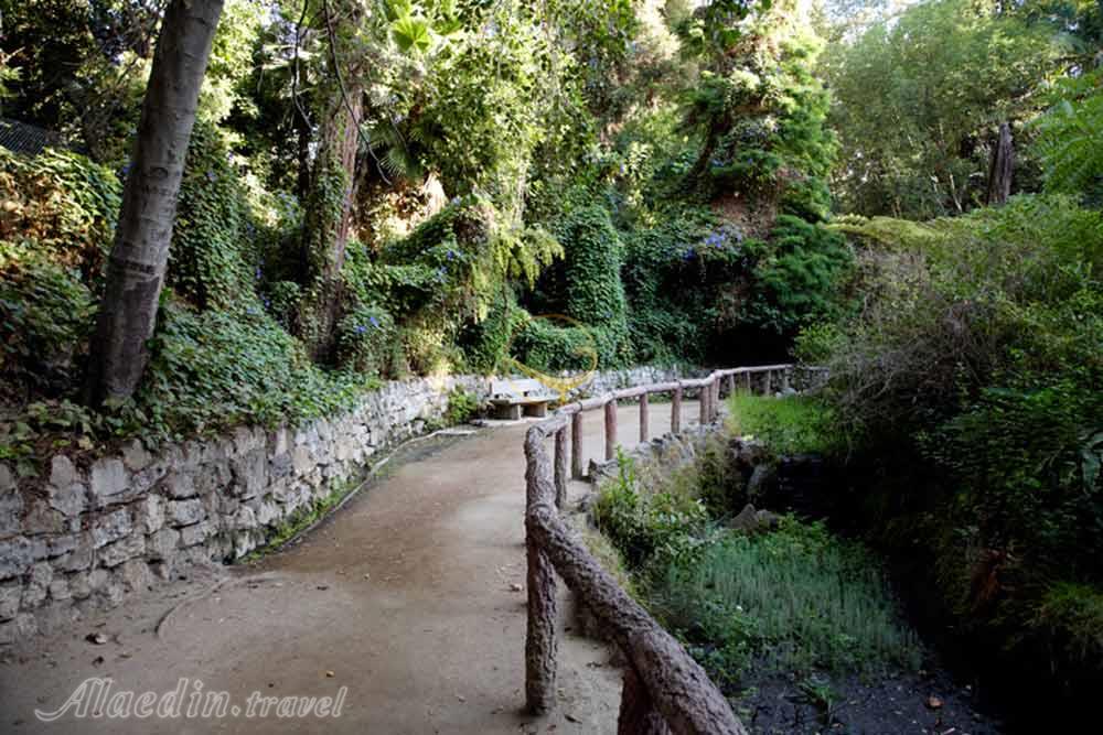 پارک گریفیث لس آنجلس | علاءالدین تراول