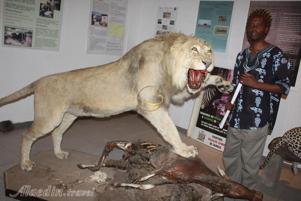 موزه ملی لوساکا در زامبیا | علاءالدین تراول