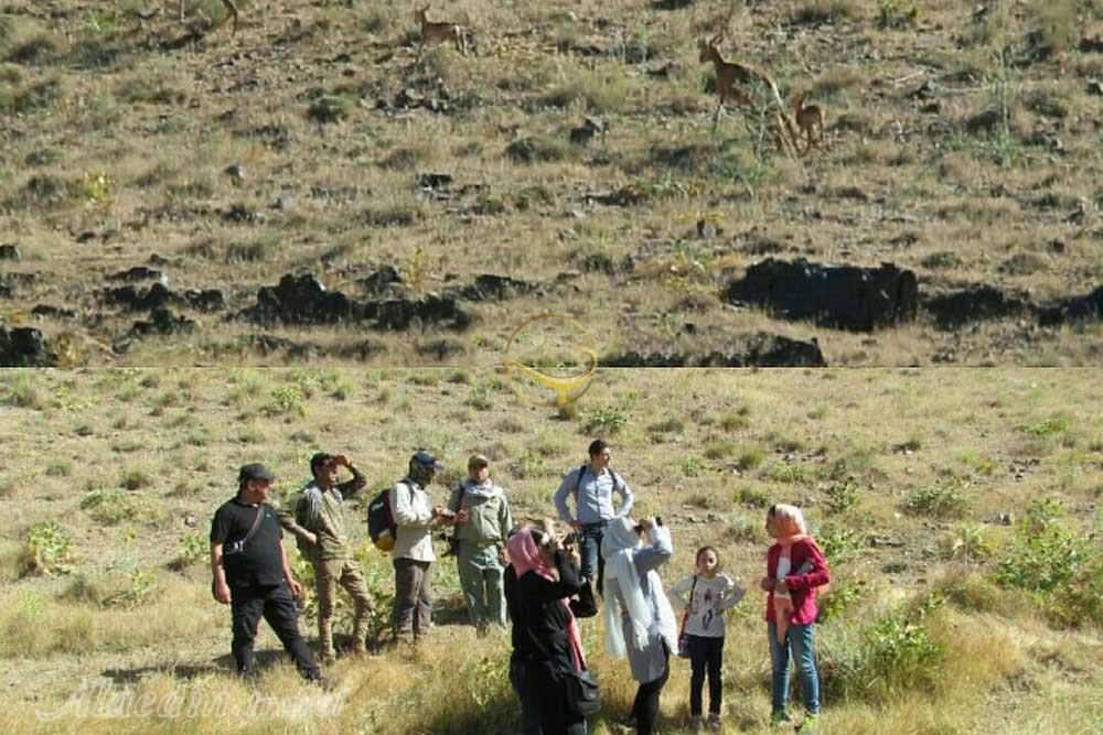 منطقه حفاظت شده لشگر (لشگردر) در ملایر | علاءالدین تراول