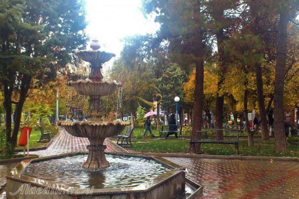 پارک جنگلی سیفیه در ملایر | علاءالدین تراول