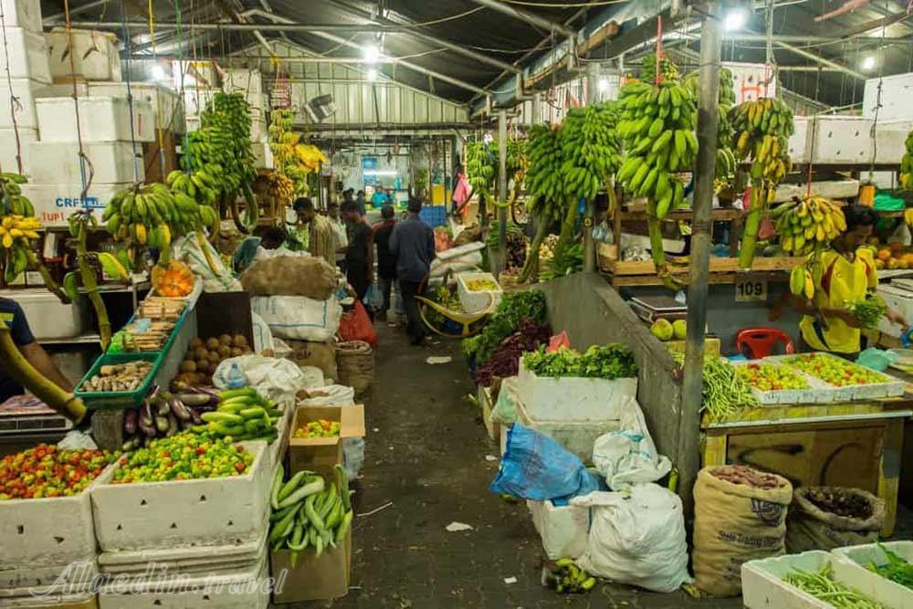 بازار محلی ماله - مالدیو | علاءالدین تراول