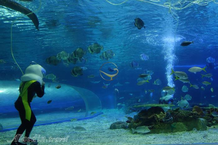 پارک اقیانوس مانیل - فیلیپین