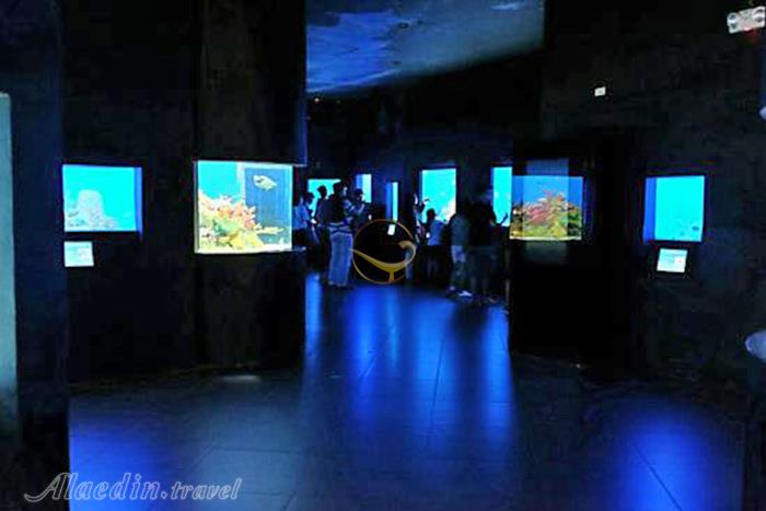 پارک اقیانوس مانیل - فیلیپین