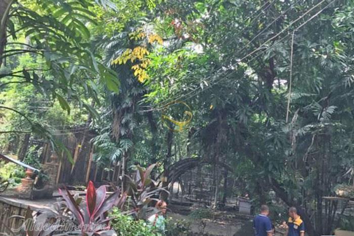 باغ وحش مانیل - فیلیپین