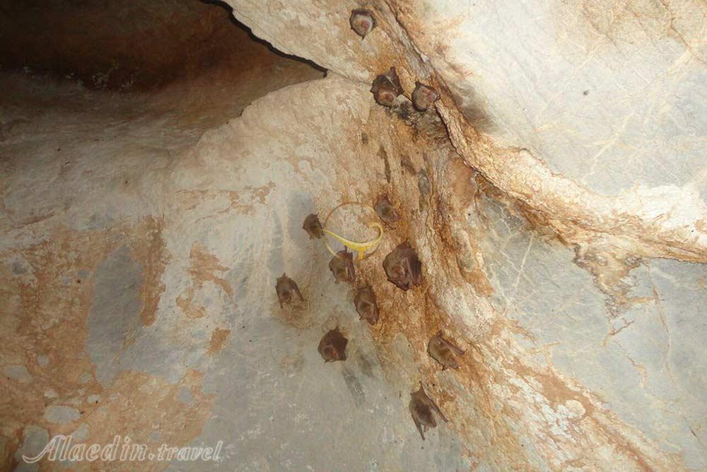 غار کونا شم شم مریوان | علاءالدین تراول