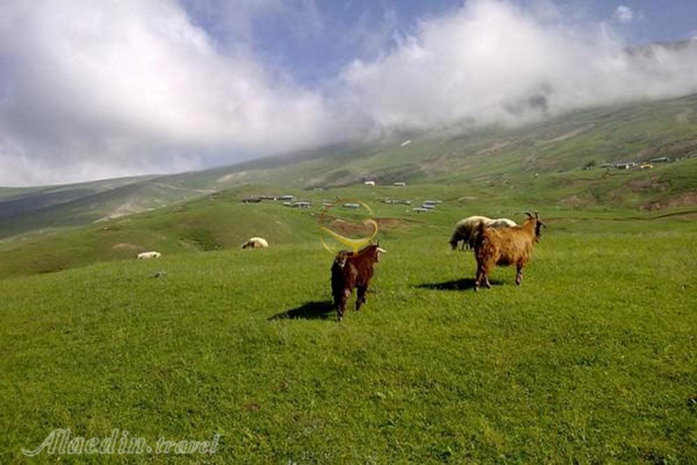 ییلاق خشکه دریا ماسال | علاءالدین تراول