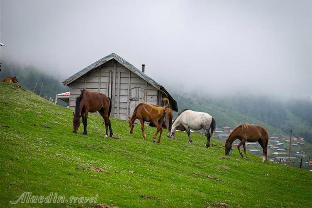ییلاق اولسبلنگاه ماسال | علاءالدین تراول