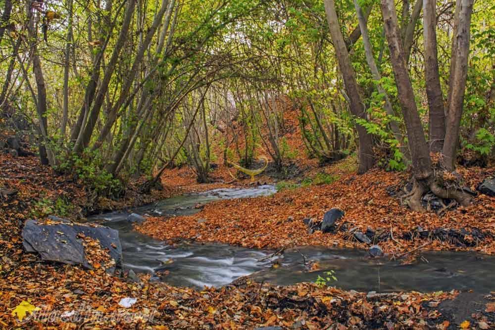دره جاغرق در مشهد | علاءالدین تراول