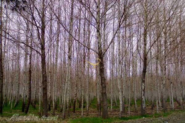 موزه باغ ملک آباد مشهد