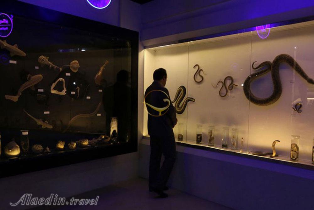 پارک پروفسور بازیما مشهد | علاءالدین تراول