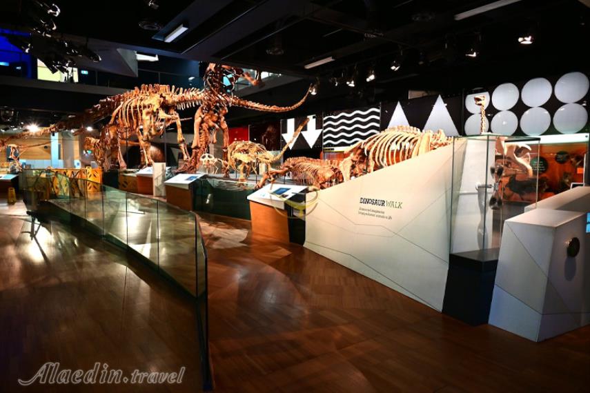 موزه ملبورن | علاالدین تراول