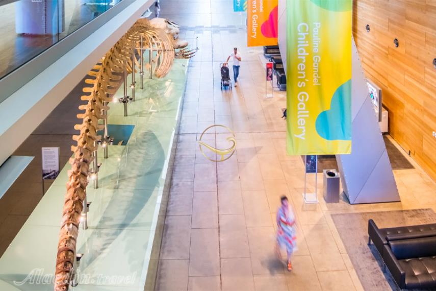 موزه ملبورن | علاالدین تراول