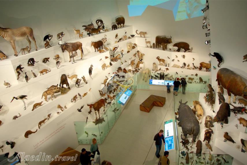 موزه ملبورن | علاالدین تراول