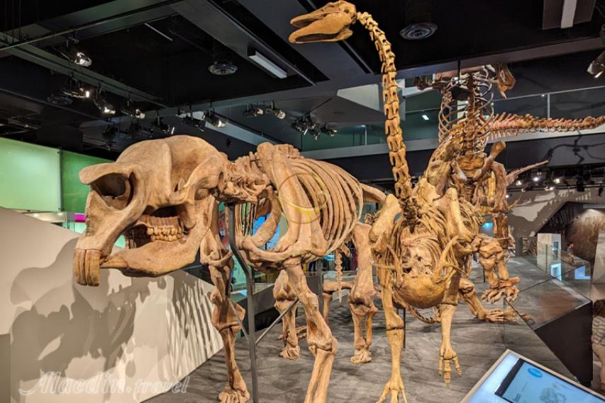 موزه ملبورن | علاالدین تراول