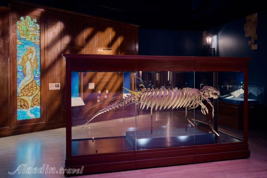 موزه ملبورن | علاالدین تراول