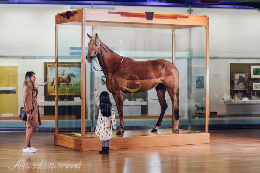 موزه ملبورن | علاالدین تراول