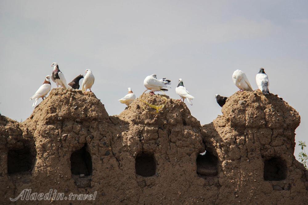 کهنه قلعه مشگین شهر | علاءالدین تراول