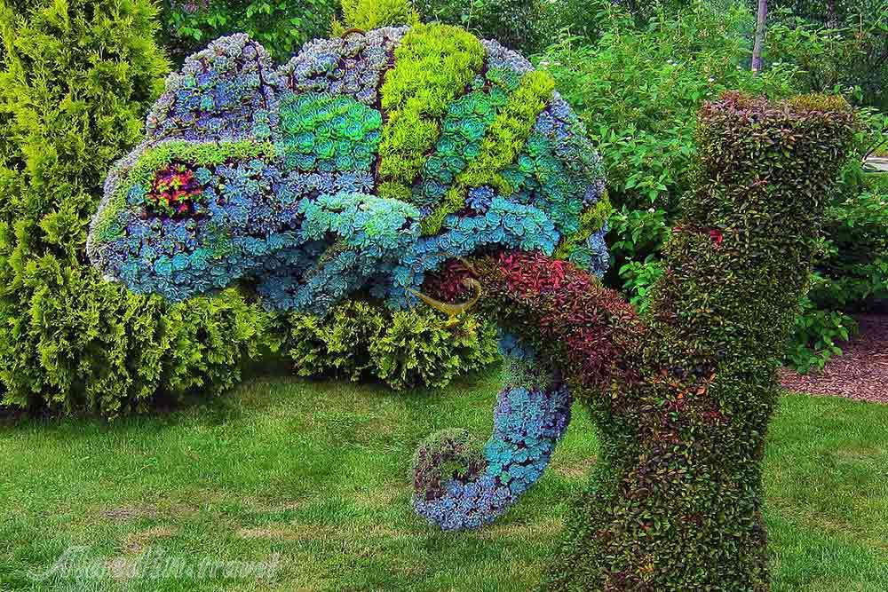 باغ گیاهشناسی مونترال | علاءالدین تراول