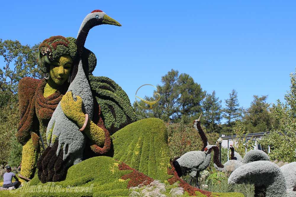 باغ گیاهشناسی مونترال | علاءالدین تراول