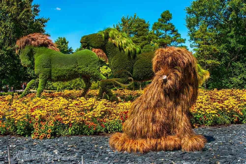 باغ گیاهشناسی مونترال | علاءالدین تراول