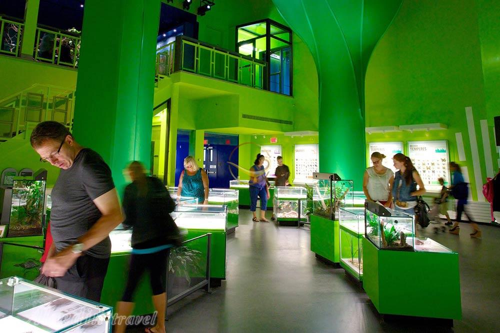 موزه حشره شناسی مونترال در کانادا | علاءالدین تراول