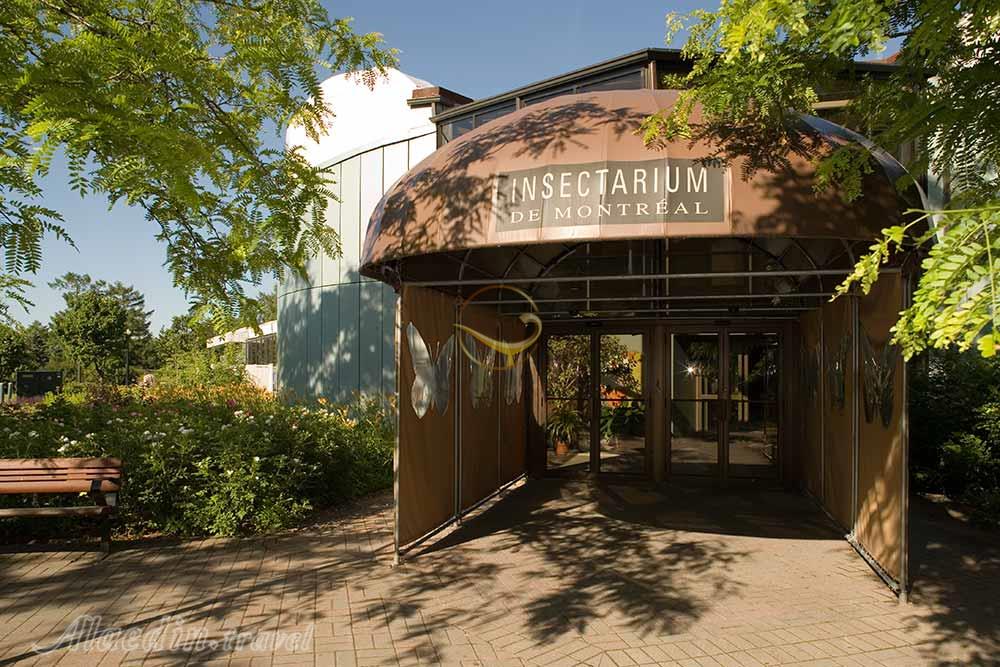 موزه حشره شناسی مونترال در کانادا | علاءالدین تراول