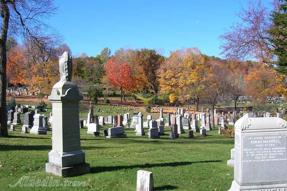 گورستان مونت رویال در مونترال - کانادا | علاءالدین تراول