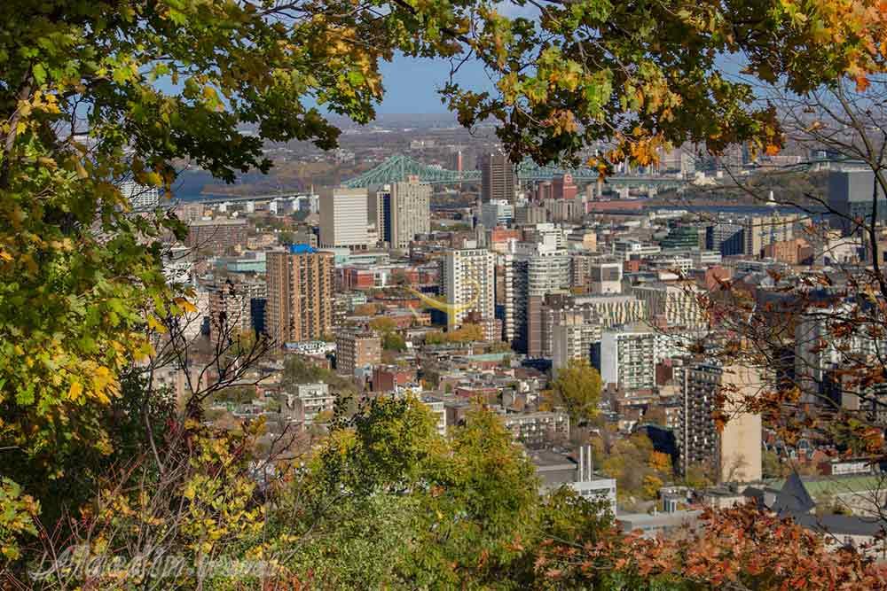 پارک مونت رویال مونترال | علاءالدین تراول