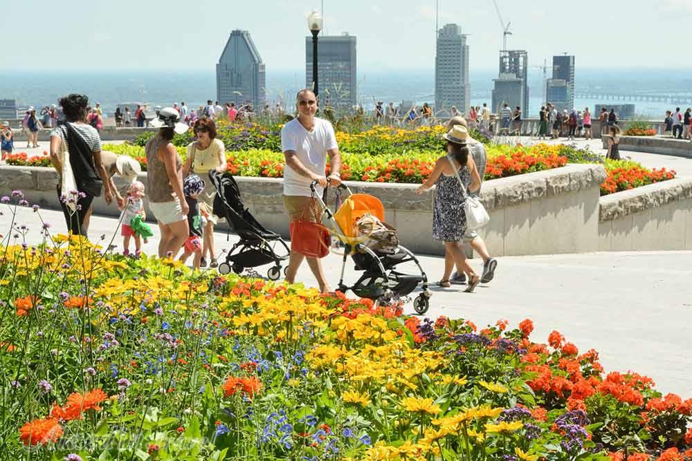 پارک مونت رویال مونترال | علاءالدین تراول