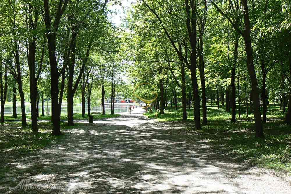 پارک مونت رویال مونترال | علاءالدین تراول