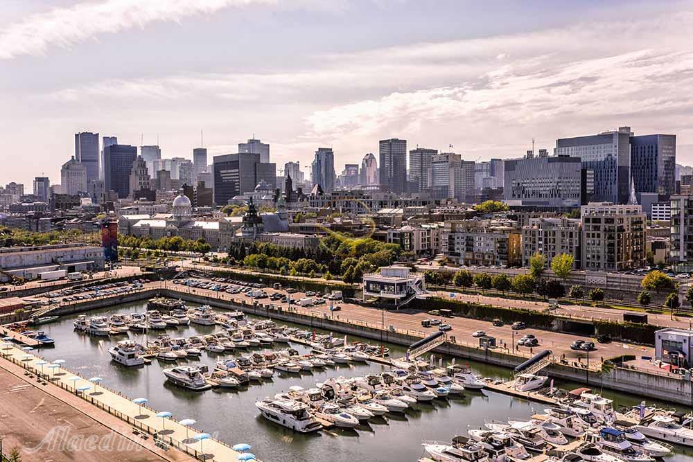 بندر قدیم مونترال | علاءالدین تراول