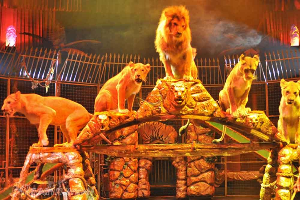 سیرک نیکولین مسکو روسیه | علاءالدین تراول