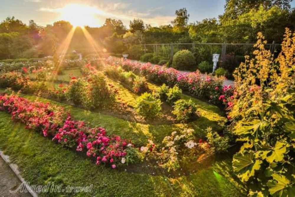 پارک سوکولنیکی مسکو روسیه | علاءالدین تراول