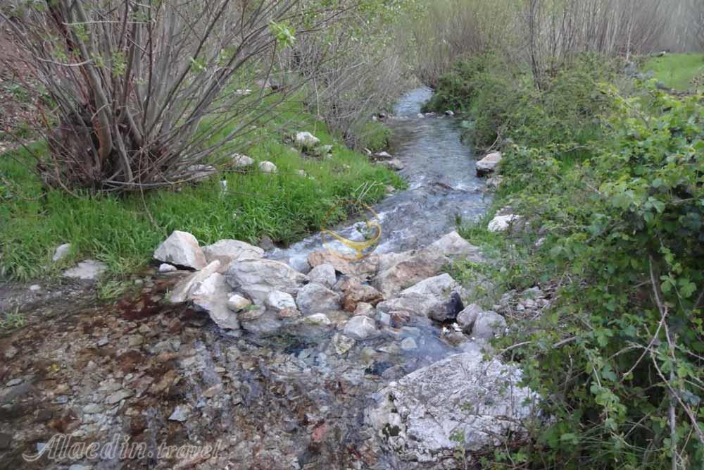 منطقه حفاظت شده ملوسان در نهاوند | علاءالدین تراول