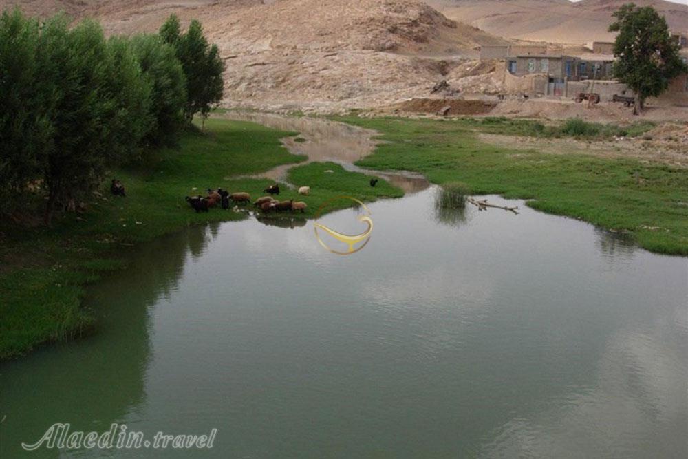 منطقه حفاظت شده ملوسان در نهاوند | علاءالدین تراول