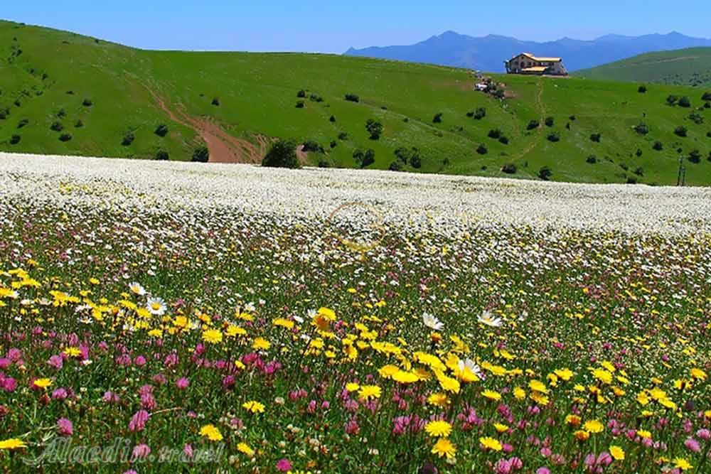 پیست اسکی فندقلو نمین | علاءالدین تراول