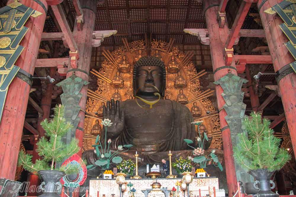 معبد تودای جی در نارا | علاءالدین تراول