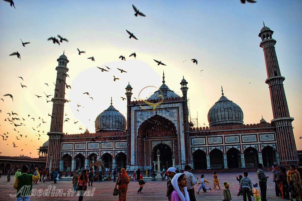 مسجد جامع دهلی (جهان نما) در دهلی نو - هند | علاءالدین تراول
