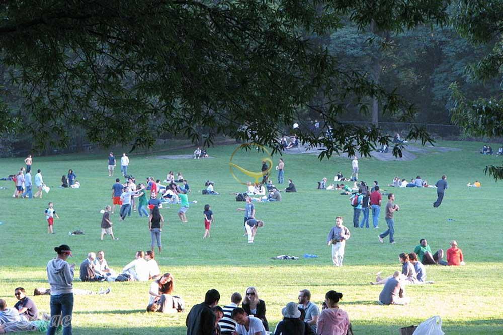 پارک مرکزی (سنترال) نیویورک - آمریکا | علاءالدین تراول