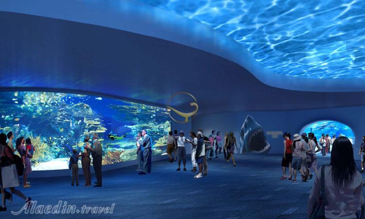 آکواریوم و پارک آبی مارین لند در نیاگارا فالز - کانادا | علاءالدین تراول