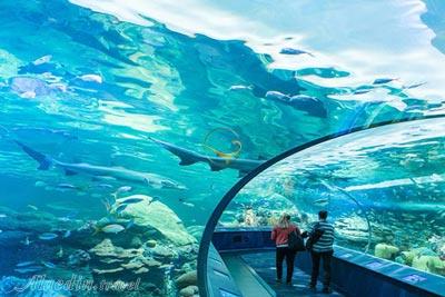 آکواریوم و پارک آبی مارین لند در نیاگارا فالز - کانادا