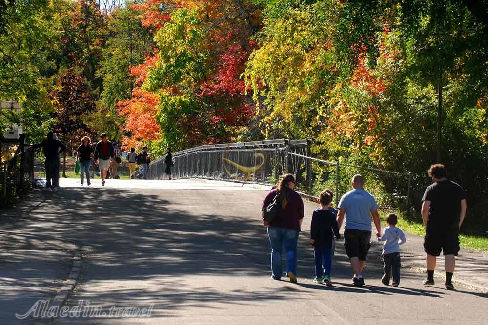 پارک ملی آبشار نیاگارا | علاءالدین تراول