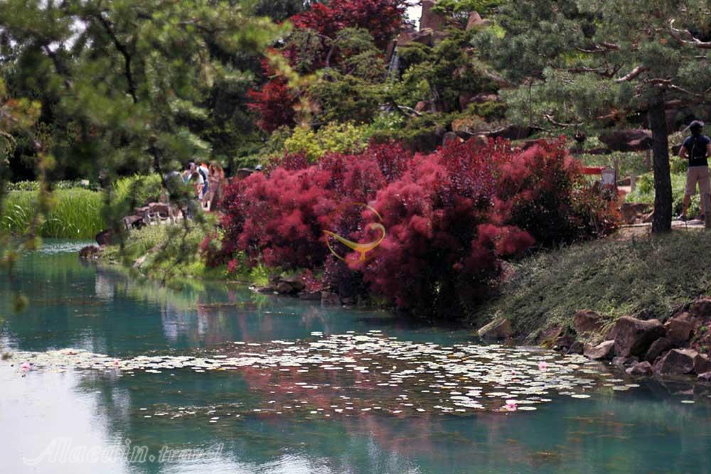 باغ گیاه شناسی پارک نیاگارا در نیاگارا فالز - کانادا | علاءالدین تراول