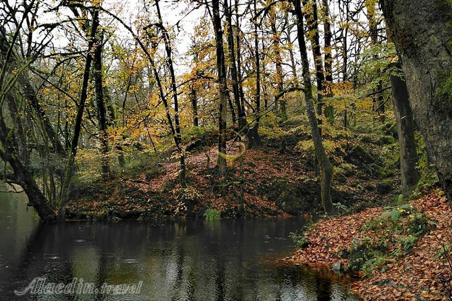 دریاچه فراخین نوشهر | علاءالدین تراول